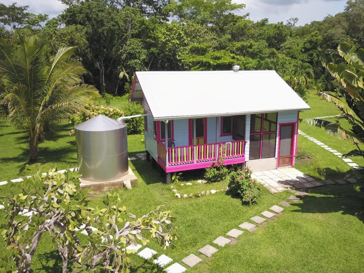 Lower Dover Jungle Lodge & Maya Ruins Unitedville Eksteriør bilde