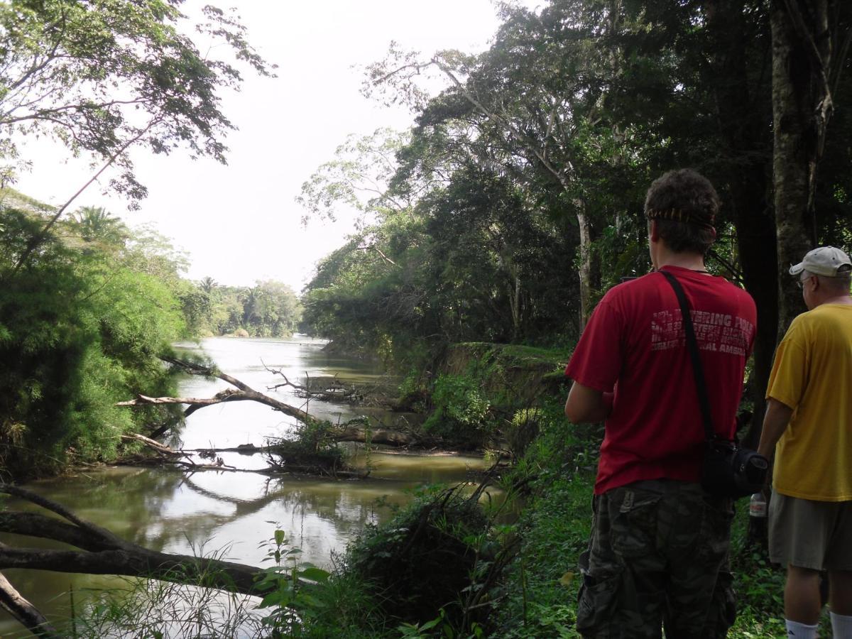 Lower Dover Jungle Lodge & Maya Ruins Unitedville Eksteriør bilde