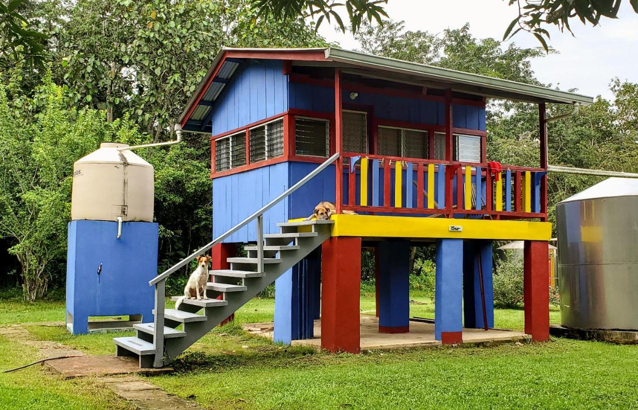 Lower Dover Jungle Lodge & Maya Ruins Unitedville Eksteriør bilde