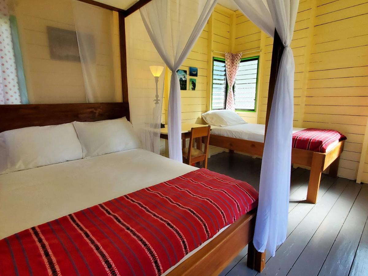 Lower Dover Jungle Lodge & Maya Ruins Unitedville Eksteriør bilde