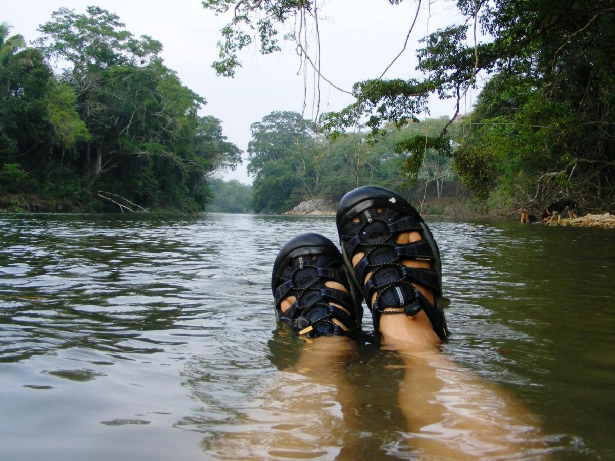 Lower Dover Jungle Lodge & Maya Ruins Unitedville Eksteriør bilde