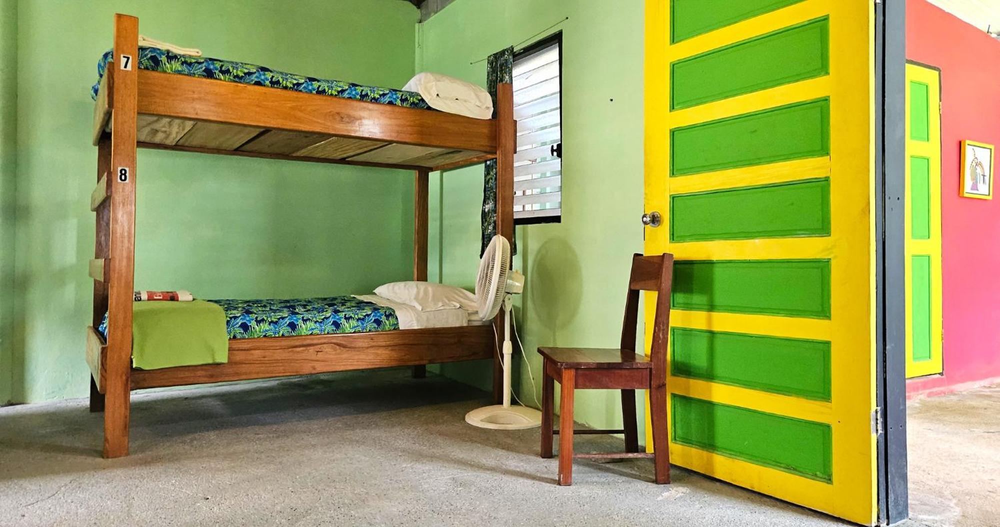 Lower Dover Jungle Lodge & Maya Ruins Unitedville Rom bilde