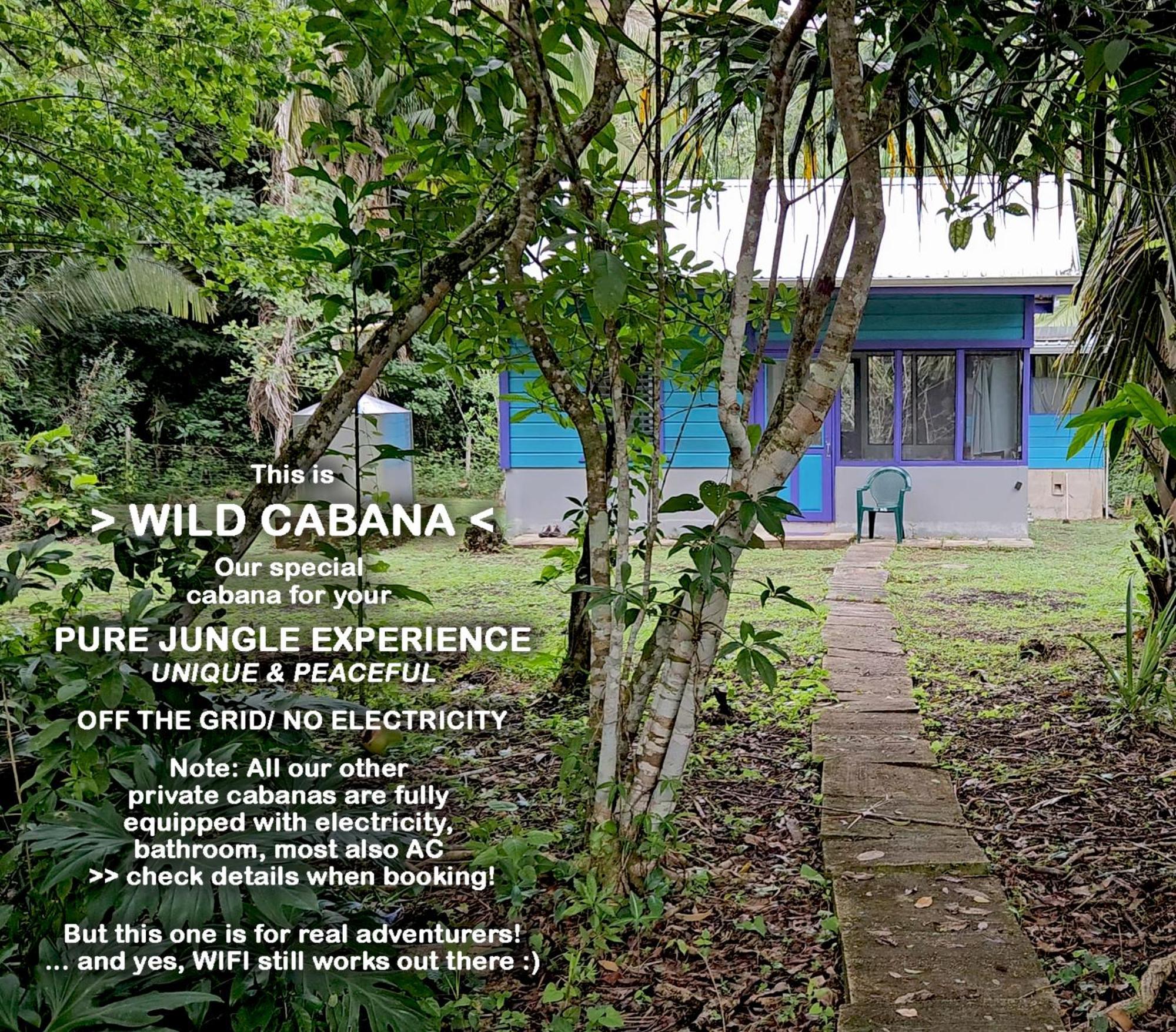 Lower Dover Jungle Lodge & Maya Ruins Unitedville Rom bilde