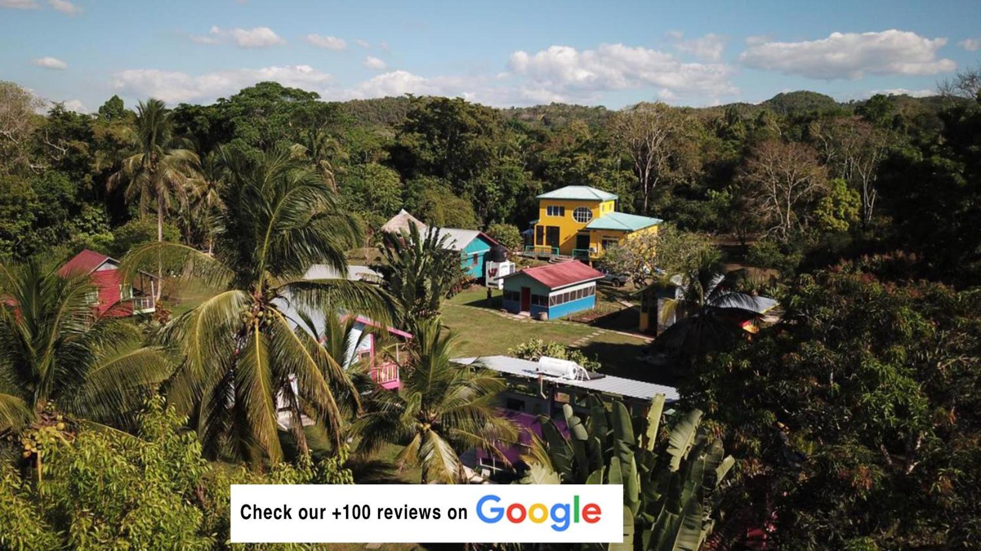 Lower Dover Jungle Lodge & Maya Ruins Unitedville Eksteriør bilde