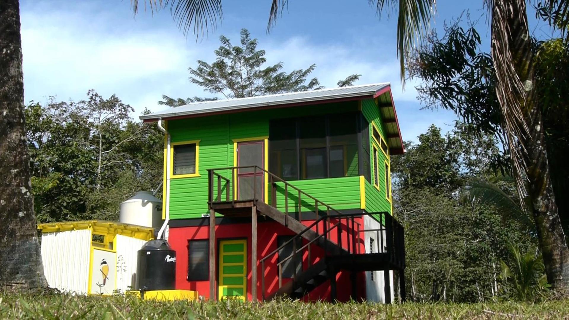 Lower Dover Jungle Lodge & Maya Ruins Unitedville Rom bilde