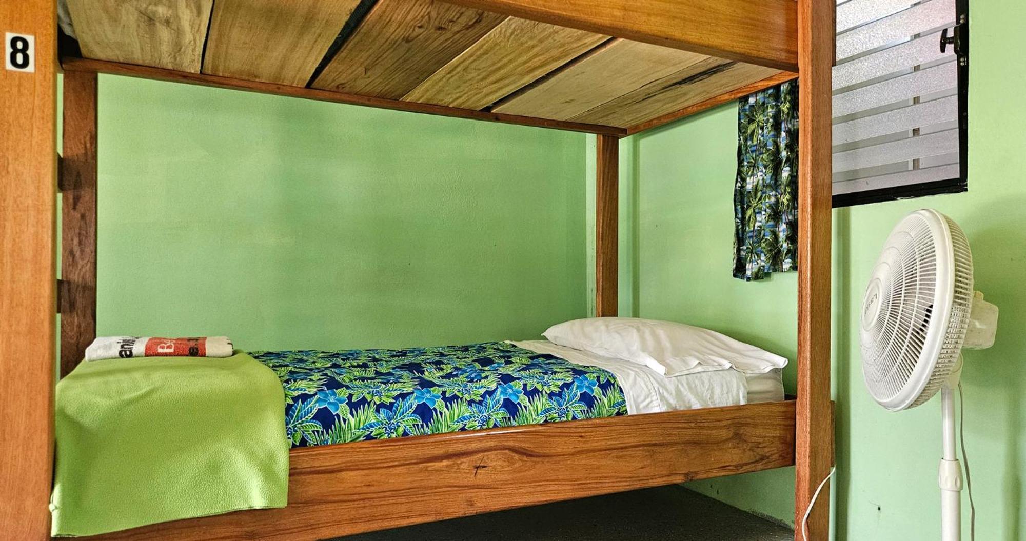 Lower Dover Jungle Lodge & Maya Ruins Unitedville Rom bilde