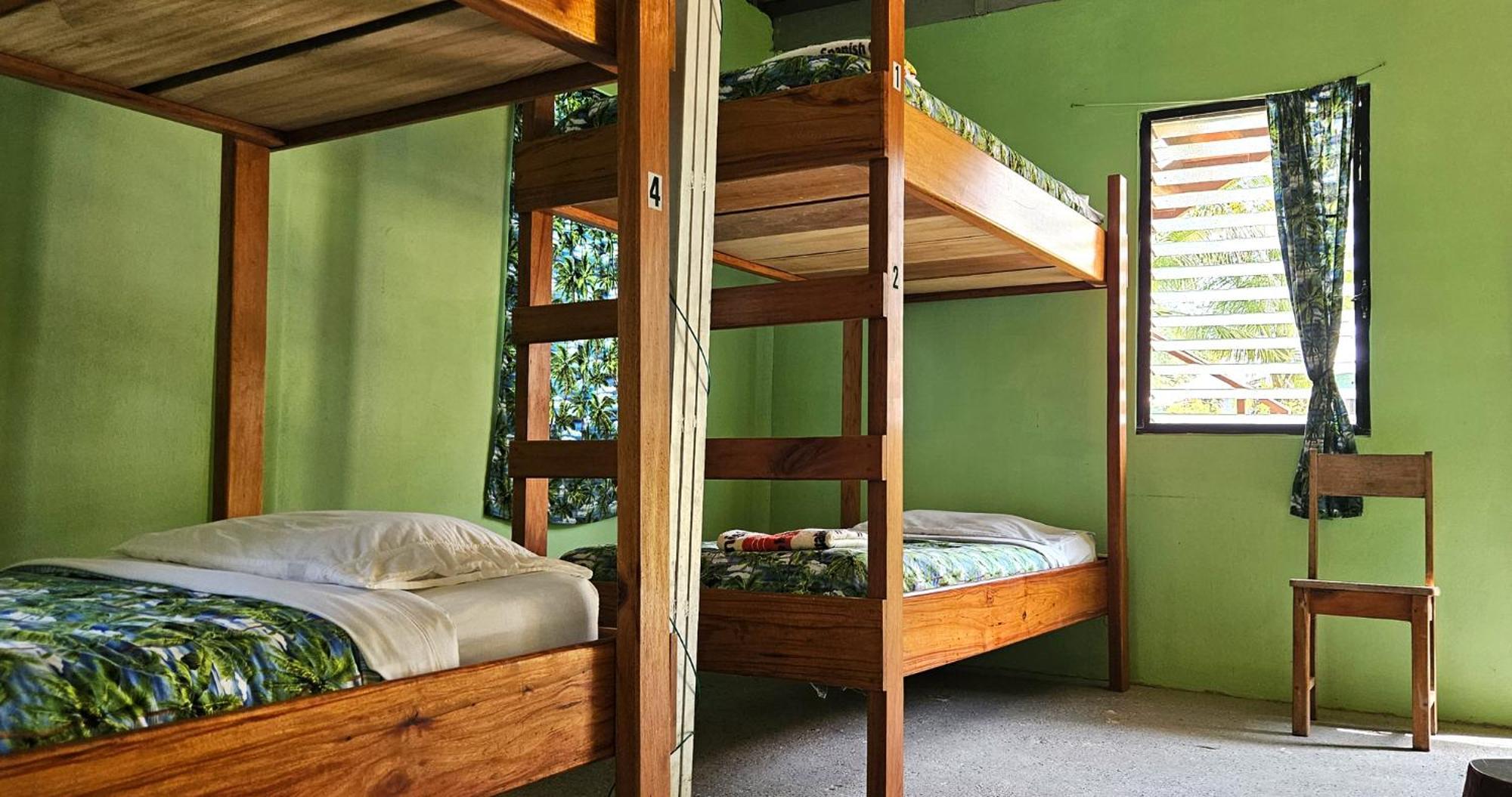 Lower Dover Jungle Lodge & Maya Ruins Unitedville Rom bilde