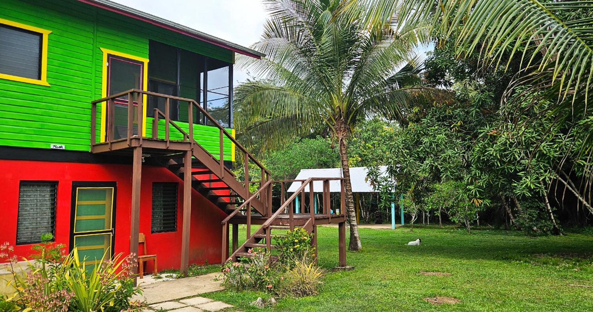Lower Dover Jungle Lodge & Maya Ruins Unitedville Rom bilde
