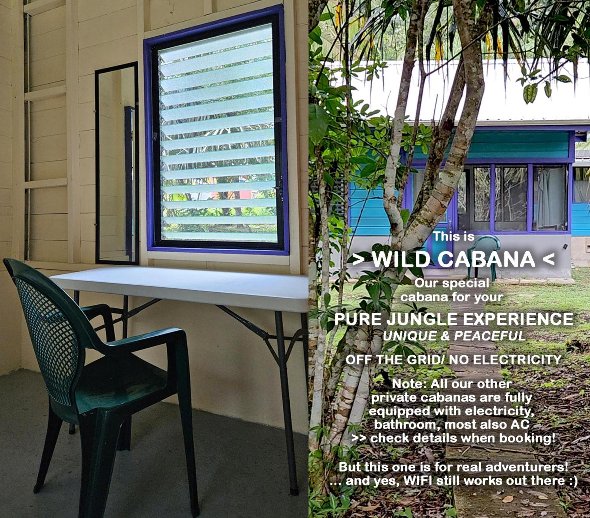 Lower Dover Jungle Lodge & Maya Ruins Unitedville Rom bilde