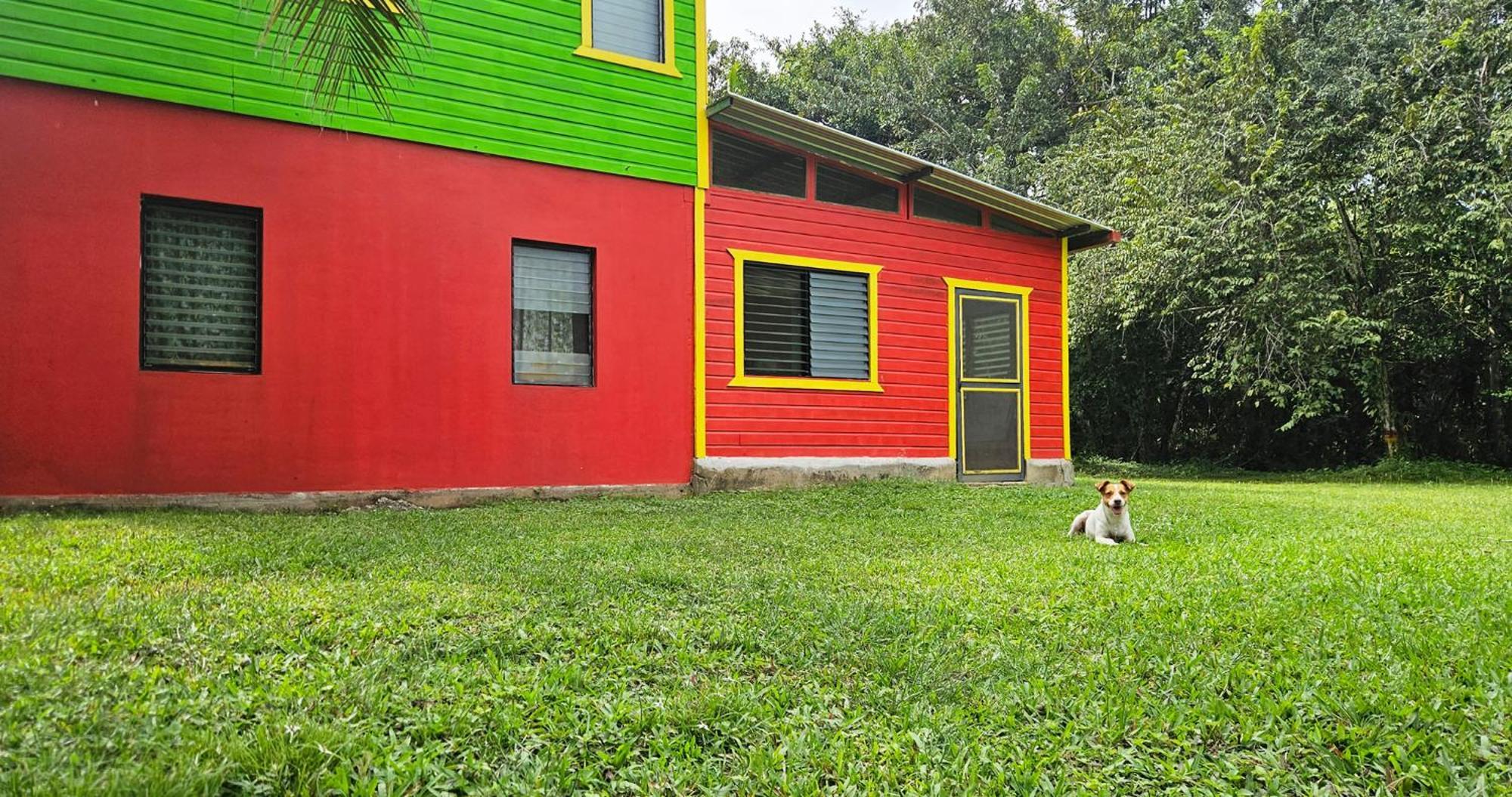 Lower Dover Jungle Lodge & Maya Ruins Unitedville Rom bilde