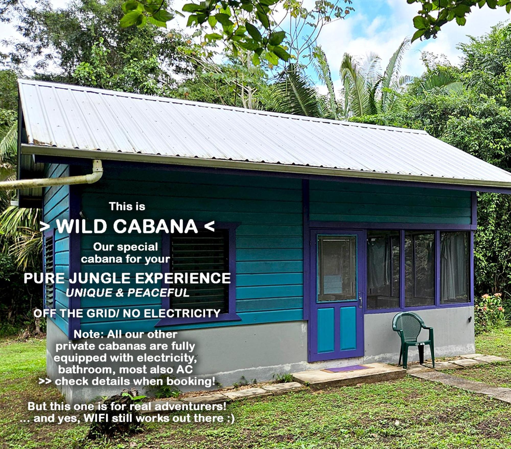 Lower Dover Jungle Lodge & Maya Ruins Unitedville Rom bilde