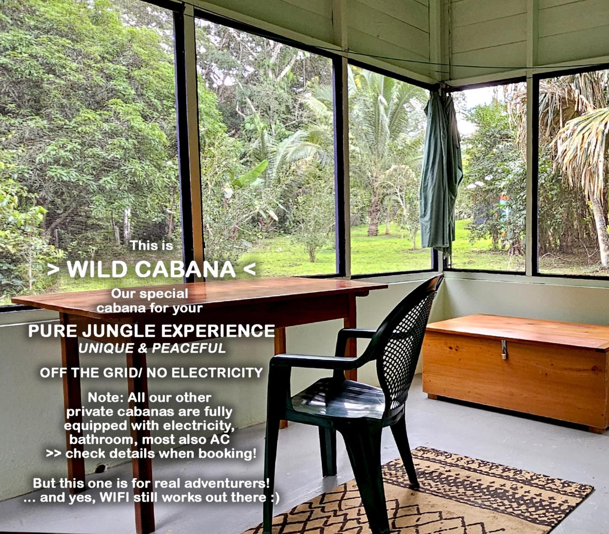 Lower Dover Jungle Lodge & Maya Ruins Unitedville Rom bilde