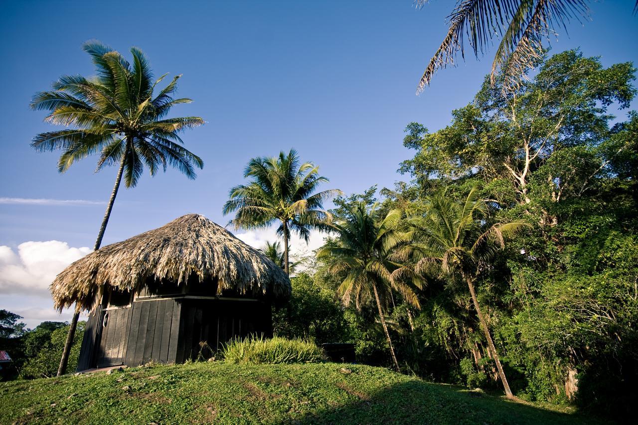 Lower Dover Jungle Lodge & Maya Ruins Unitedville Eksteriør bilde