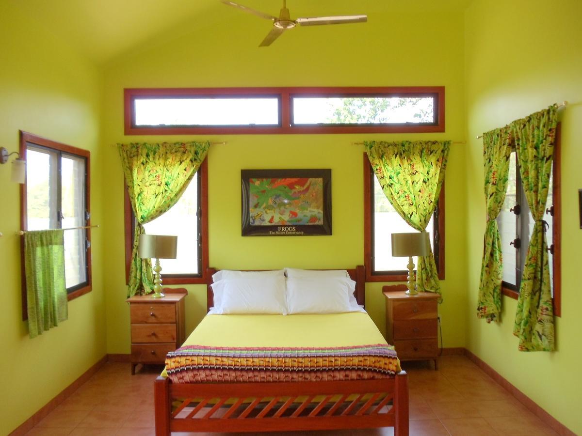 Lower Dover Jungle Lodge & Maya Ruins Unitedville Rom bilde