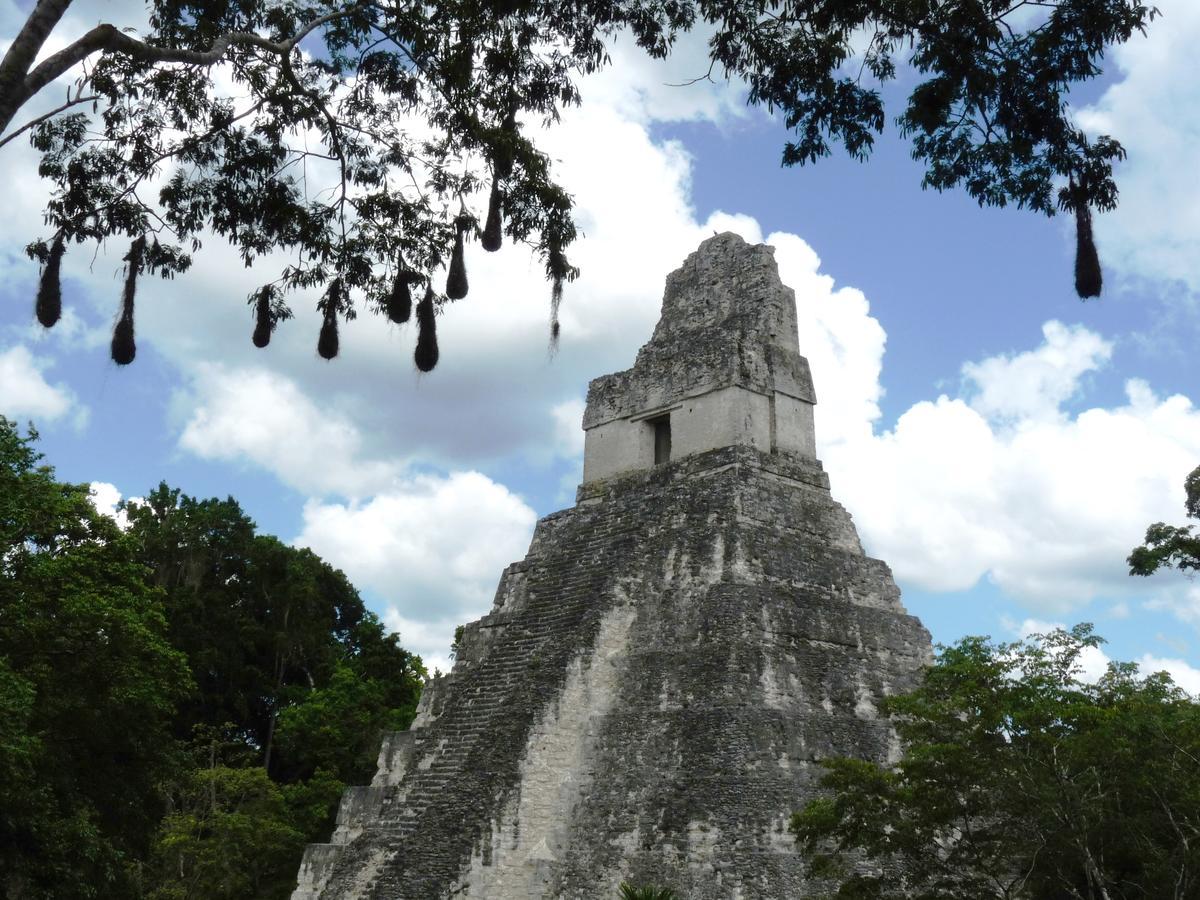 Lower Dover Jungle Lodge & Maya Ruins Unitedville Eksteriør bilde