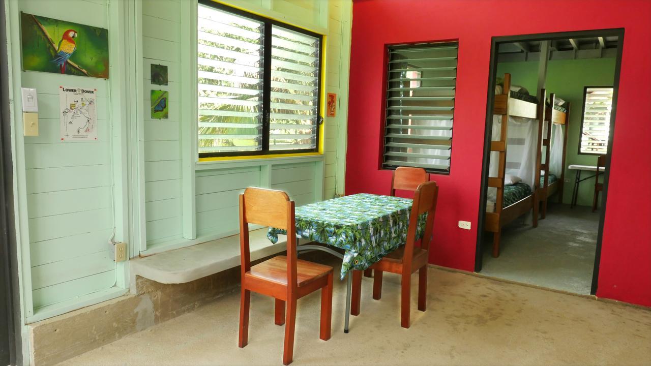 Lower Dover Jungle Lodge & Maya Ruins Unitedville Eksteriør bilde